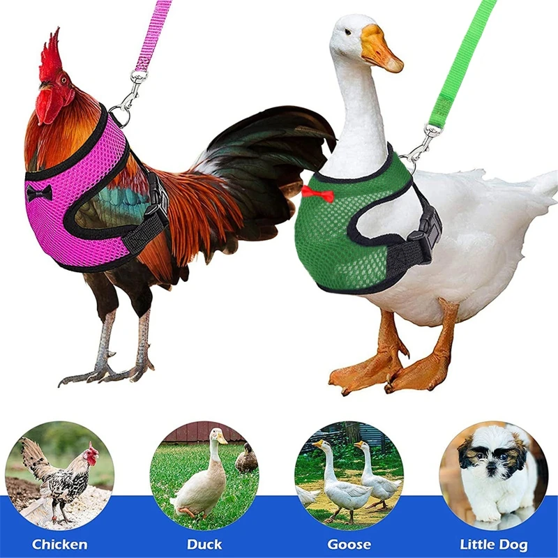 

Chicken Harness with Leash Adjustable Comfortable Small Pet Harness Leash Set for Duck Goose Hen Training Walking J06 22