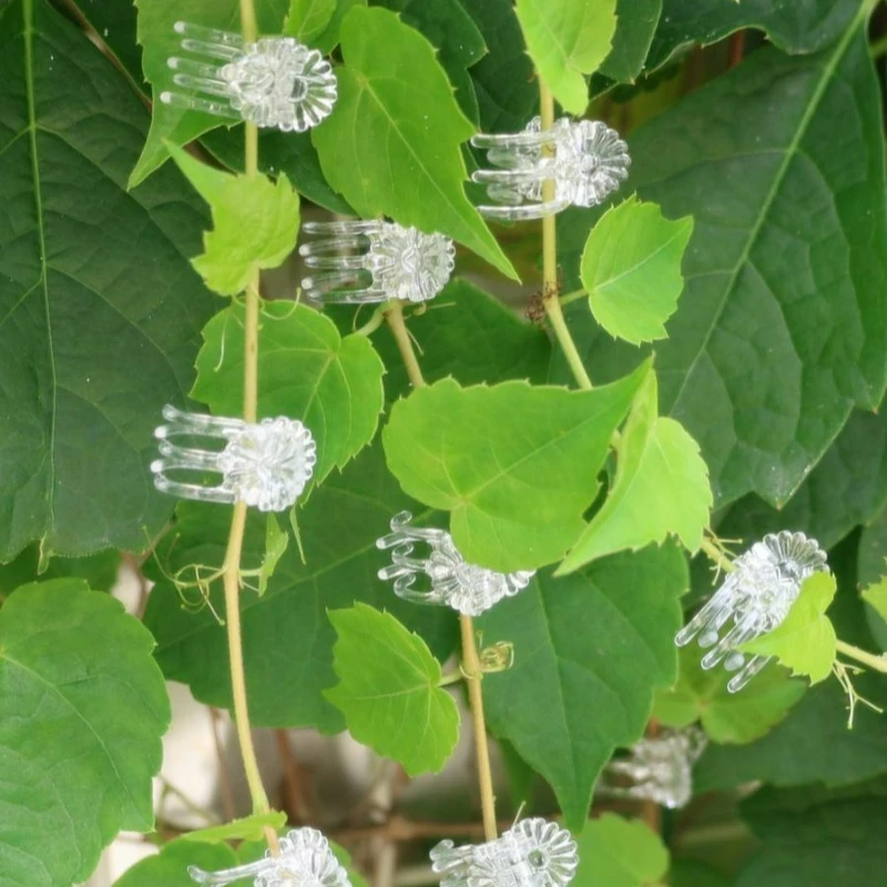 30/50Pcs Orchid Plant Support Clip Garden Vine Fixing Tool for Climbing Plant Tomato Trellis Reusable Plastic Stem Branch Holder