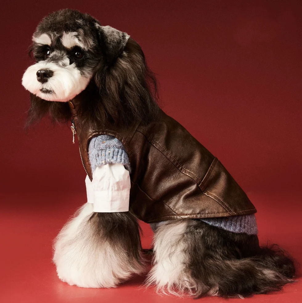 �y�Z�[�����z�g�����h���Ȑ����p�R�[�g�A�P�F�f�U�C�i�[�~���A��^���p�A�q���p�A�N�Z�T���[