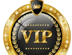 

VIP Customer Customized Product Link VIP