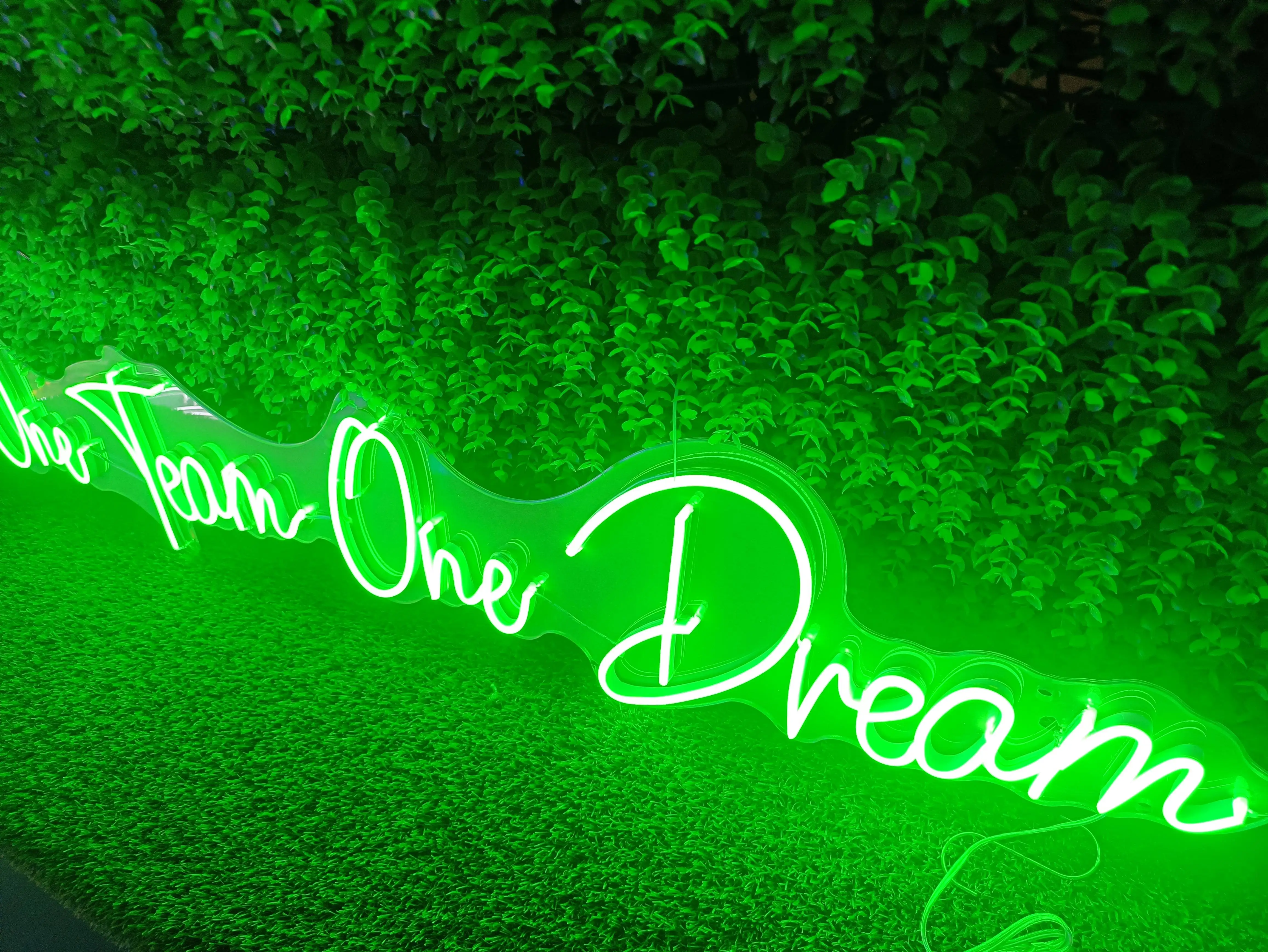 One Team One Dream Neon Sign Decor Custom Neon Letter Birthday Party Decor DIY Neon Name