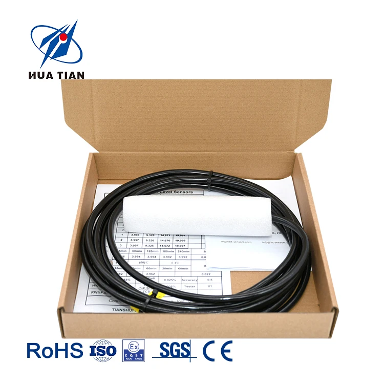 Huatian CYB3120 Submersible Level Transmitter From China 304 Stainless Steel Probe for Accurate Level Measuring