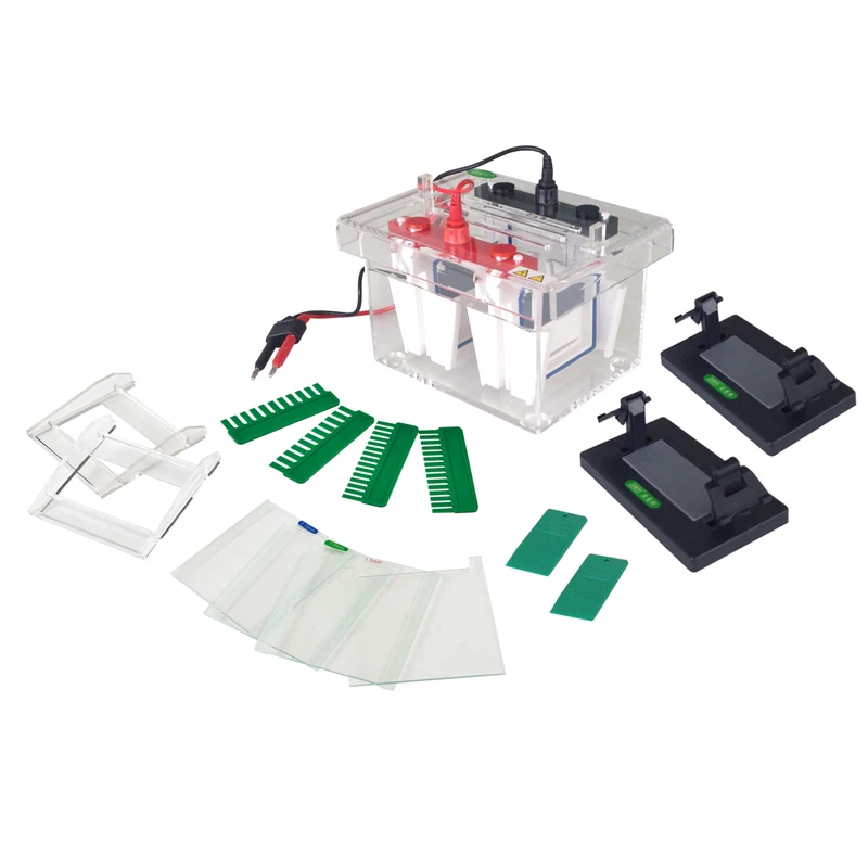 Mini-Protein Electrophoresis Cell Protein Electrophoresis Machine