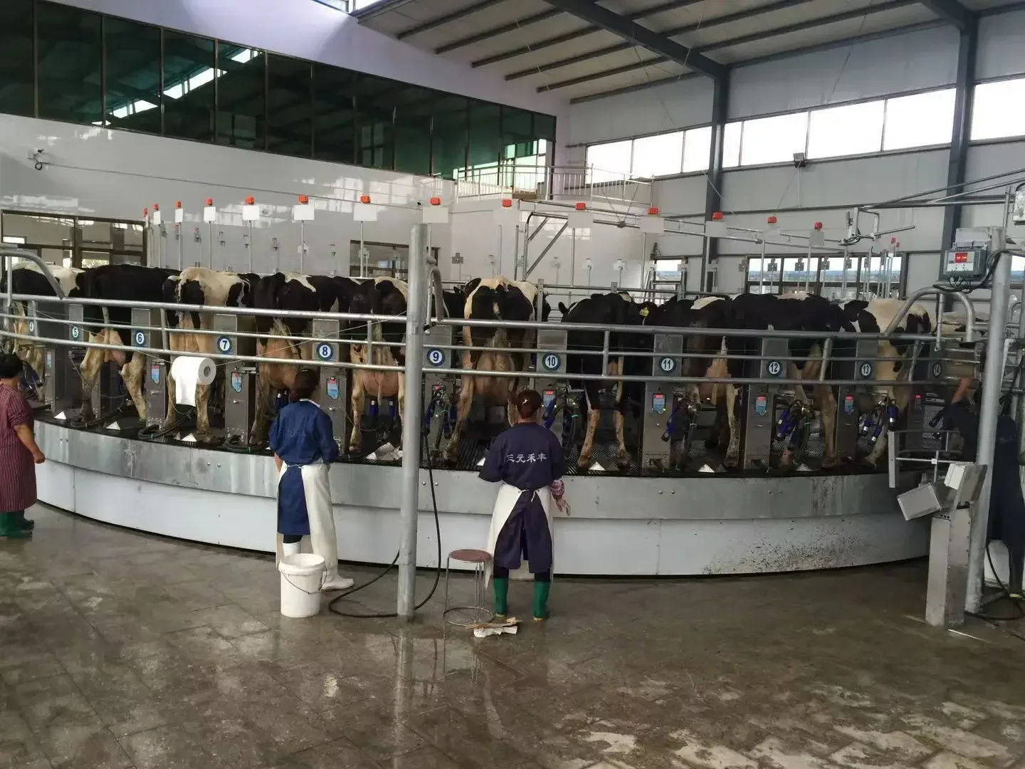 Multifunctional Turntable Type Milking Machines Vacuum Pump Rotator Mechanical Milking Machine