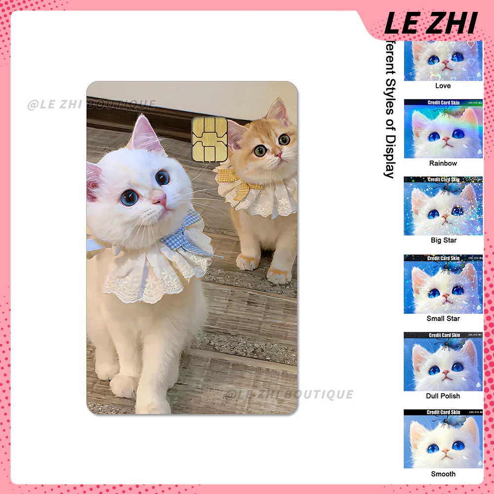 Рисунок 5 - милая кошка, собака