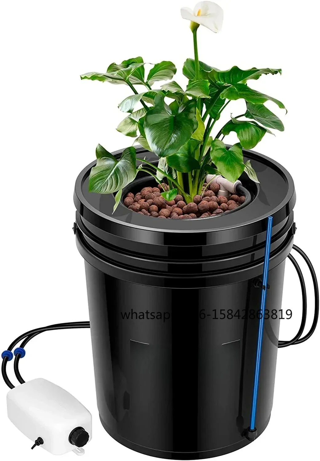 نظام زراعة مائي جديد بتقنية De - مراجعة Dwc Bucket System 5 Gallon وسعره
