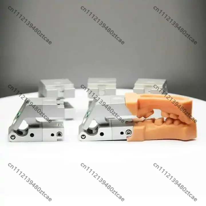 3D Laser Printing Dental Occlusal Frame Resin Jaw Model Digital Oral Denture Model Framework for Dental Clinic and Lab Teaching
