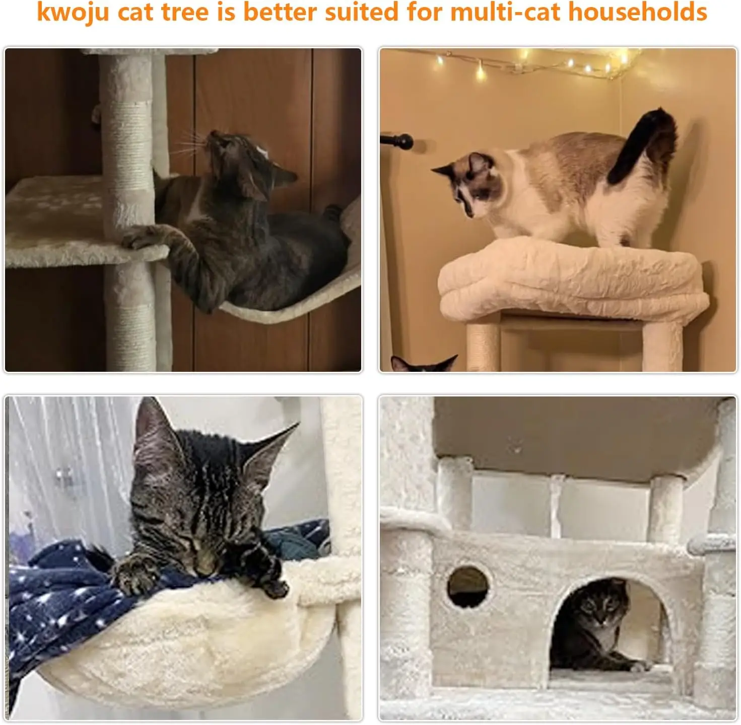 الجملة الحديثة الخشب الصلب برج شجرة القط الكبير الفاخرة مريحة في الهواء الطلق حبل الصفر تصنيع مخصص رخيصة الحيوانات الأليفة القط الأثاث