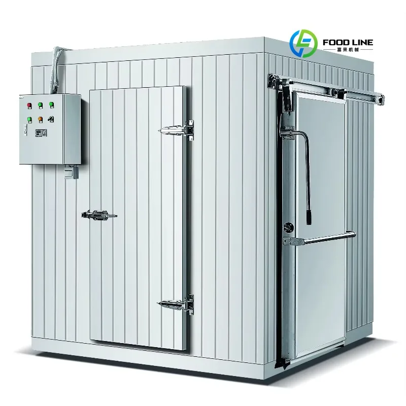 2026 Popular Produc Southeast Asia Fruit and Vegetable Freezer Preservation Greenhouse Meat Freezer Sales Customized