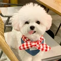 Bandana