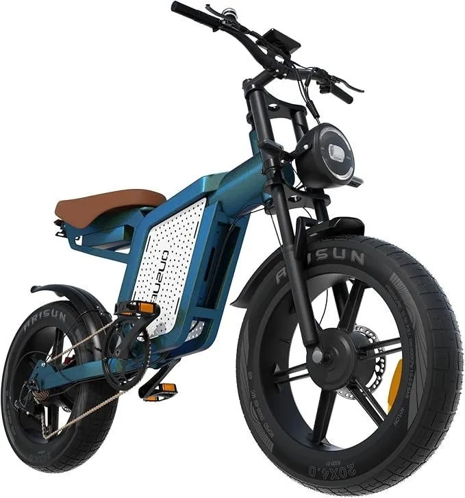 1500w Peak Dual Motor Electric Bike 20" Fat Tire All-terrain E-bike 48v 23ah
