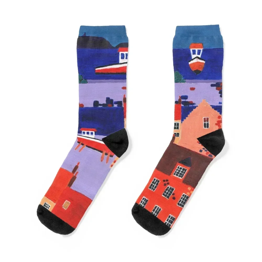 An East Neuk Sea View Socks colored cute snow cool Mens Socks Women's