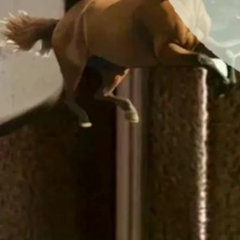 2d-акриловый-брелок-с-лошадьми-брелок-для-ключей-украшение-в-виде-животного-подвеска-на-рюкзак-аксессуары-для-дня-рождения