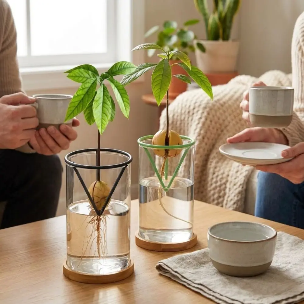 3Pcs Cone-shaped Avocado Growing Triangular Holder Floating Stable Avocado Germination Stand Soil-less Plastic Hydroponic Rack
