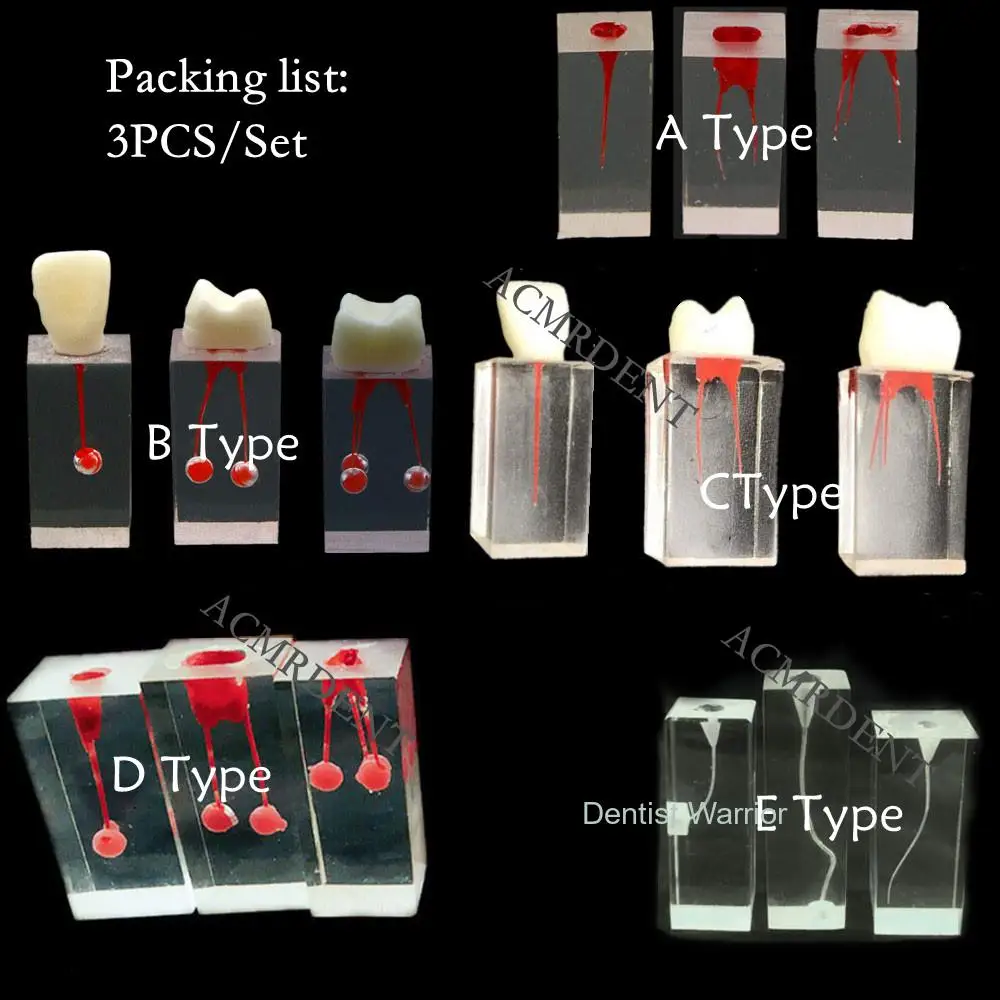 

Dental Model Endodontic Root Canal Block Practice Pulp Cavity Clear Resin Study Endo Training Tooth RCT Demo Student Teaching