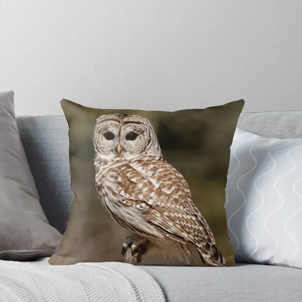 

Barred Owl - Brighton, Ontario Throw Pillow Decorative Cushions For Living Room Decorative Sofa Cushions Couch Cushions pillow