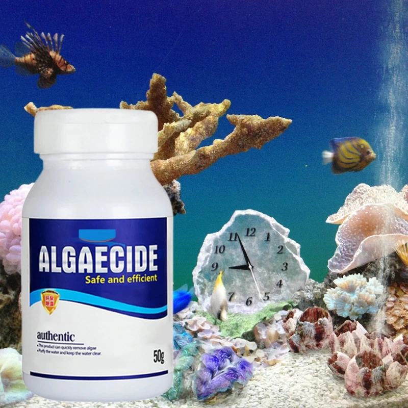 50g 고효율 Algaecide 조류 이끼 제어 수질 정화 수족관 연못에 대한 안전한 효율적인 Algaecide