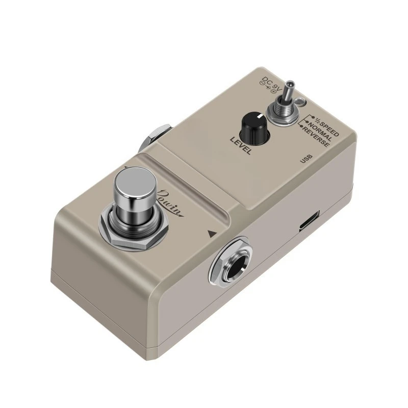 Electric Guitar Mon…