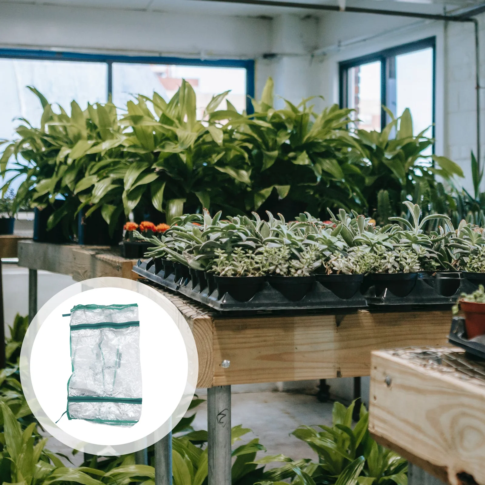 

Green House and Seedlings Indoor Plant Garden Rack Protective Cover Small Anti Freeze Plants