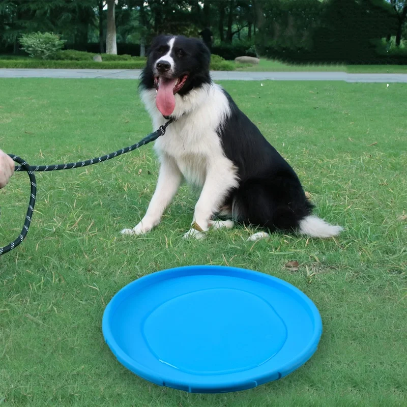 Thumbnail 3 - #61 Top Rated Dog Toys to Buy in 2026