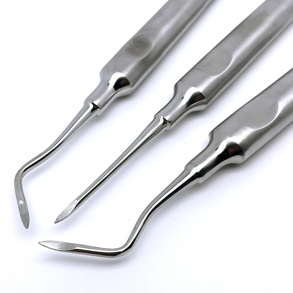 3Pcs Dental Elevator Teeth Extraction Tooth Extracting Forceps Stainless Steel Curved Root Lift Elevator Dentist Surgical Tool