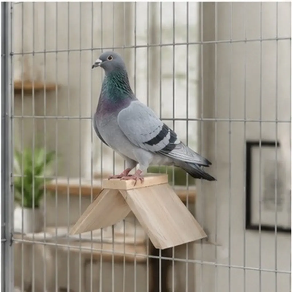 6 Pcs Chicks Perch Bird Sleeping Decorative Parrot Birdcage Accessories Stand Rack Supplies Dove Rest Roosting