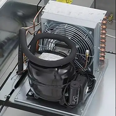 Vertical Commercial Refrigeration Equipment Double Doors Upright Freezer - Restaurant Grade Ice Maker Machine Storage Refrigerat