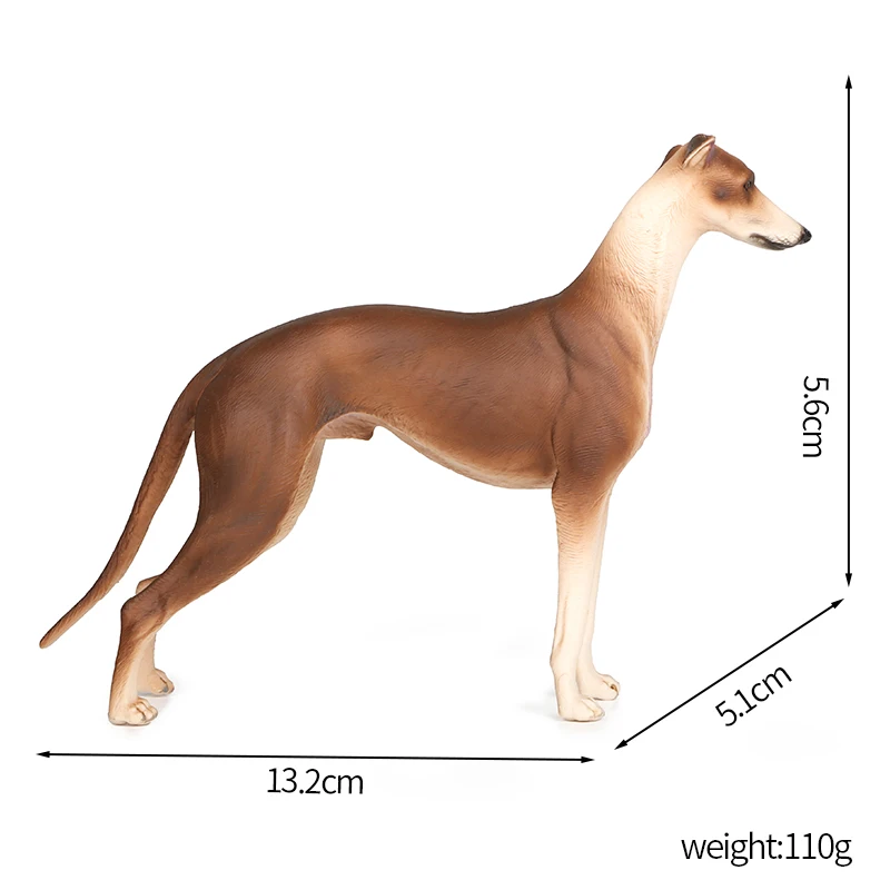 Realistic Greyhound Animales Toy Action Figure - Collectible Model for Kids & Adults, Animal Collection Display Toy