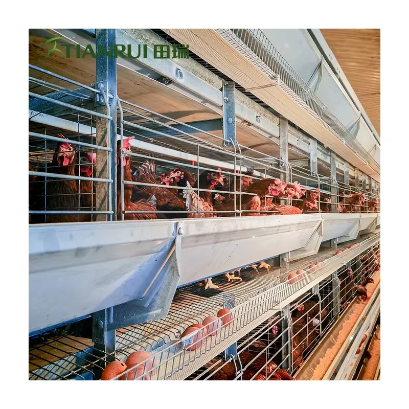 New Automatic Galvanized Steel System Poultry House Egg Battery Laying H Frame Chicken Layer Cage for All Models