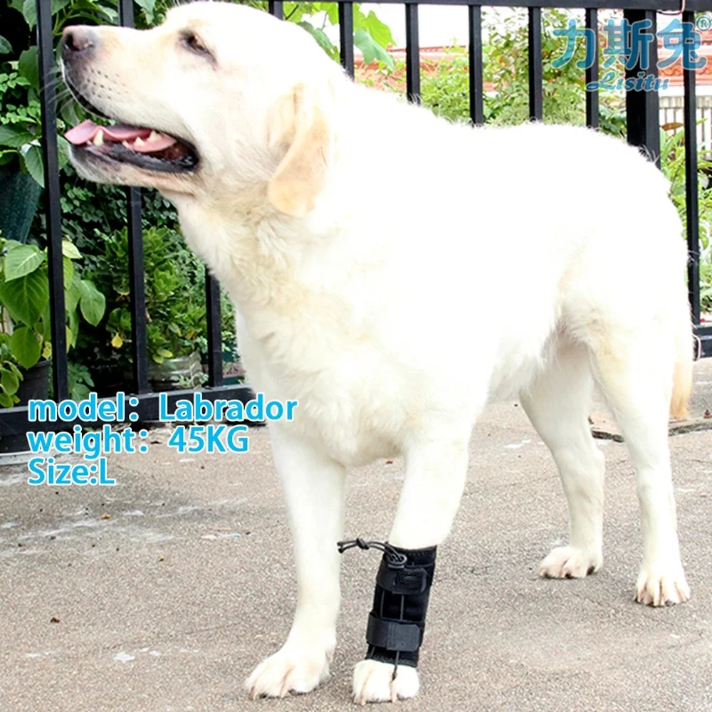 

Dog And Cat Knuckling Toe Draagging Brace Dorsiflexion Brace Myelopathy And Spinal Injuries Front Leg Paw With Sciatic Nerve Cor