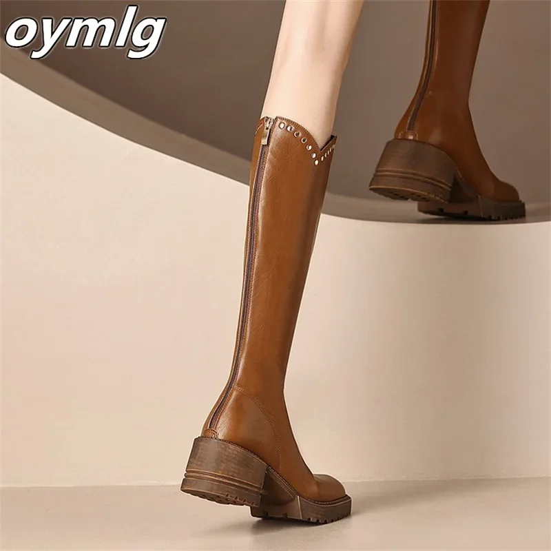 Thick soled thick heel versatile high top boots for women not over the knee2024 model with back zipper high-heeled knight boots