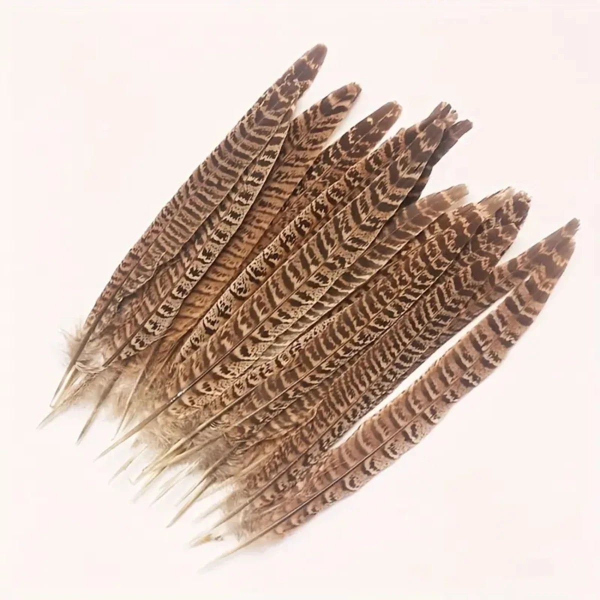 10pcs Natural Pheasant Feathers, Female Tail Feathers Female Forest-neck Chicken Tail Feathers Natural Feathers