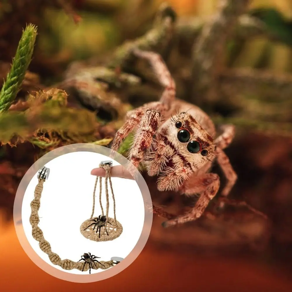 Hangable Jumping Spider Ropes Multi-Function Handmade Jumping Spider Enclosure Non-toxic Hermit Crab Climbing Enclosure