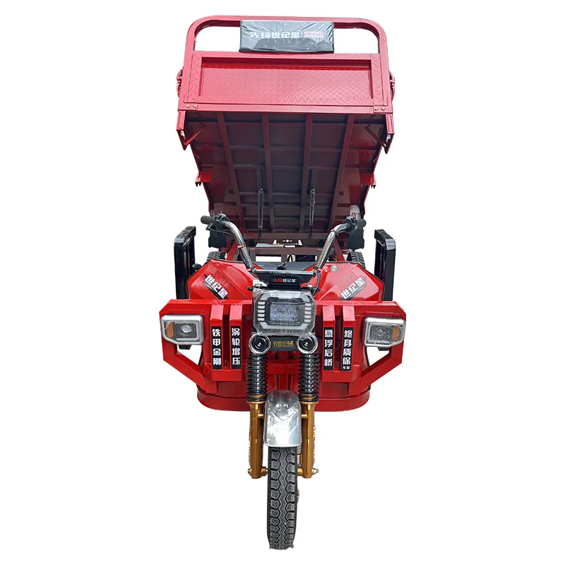 Hot Sale China Factory Popular Design Trike Electric Tricycle 3000Watt