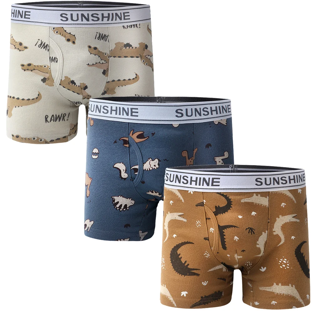 1/3/6 pcs Boys Boxer Briefs Sets 2025 New Kids Cotton Underwear Boy Underpants Teenager Dinosaur Print Soft Children Panties