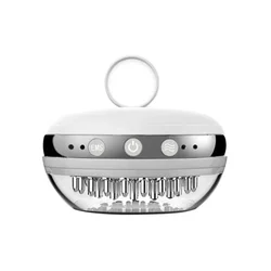 EMS Scalp Stimulator, Hair Regrowth Comb, Stress Relief, Hair Loss Treatment, Durable Infusion Tool, Scalp Massager