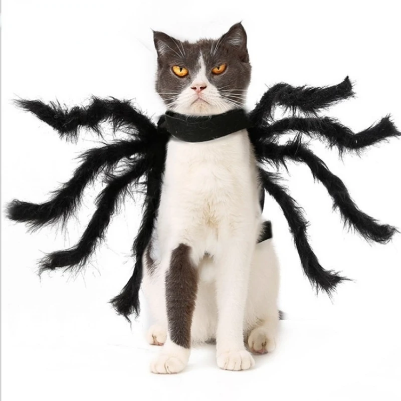 

Halloween online celebrity dog spider clothes puppy cat Teddy Bomei horror simulation plush transformation decorations.