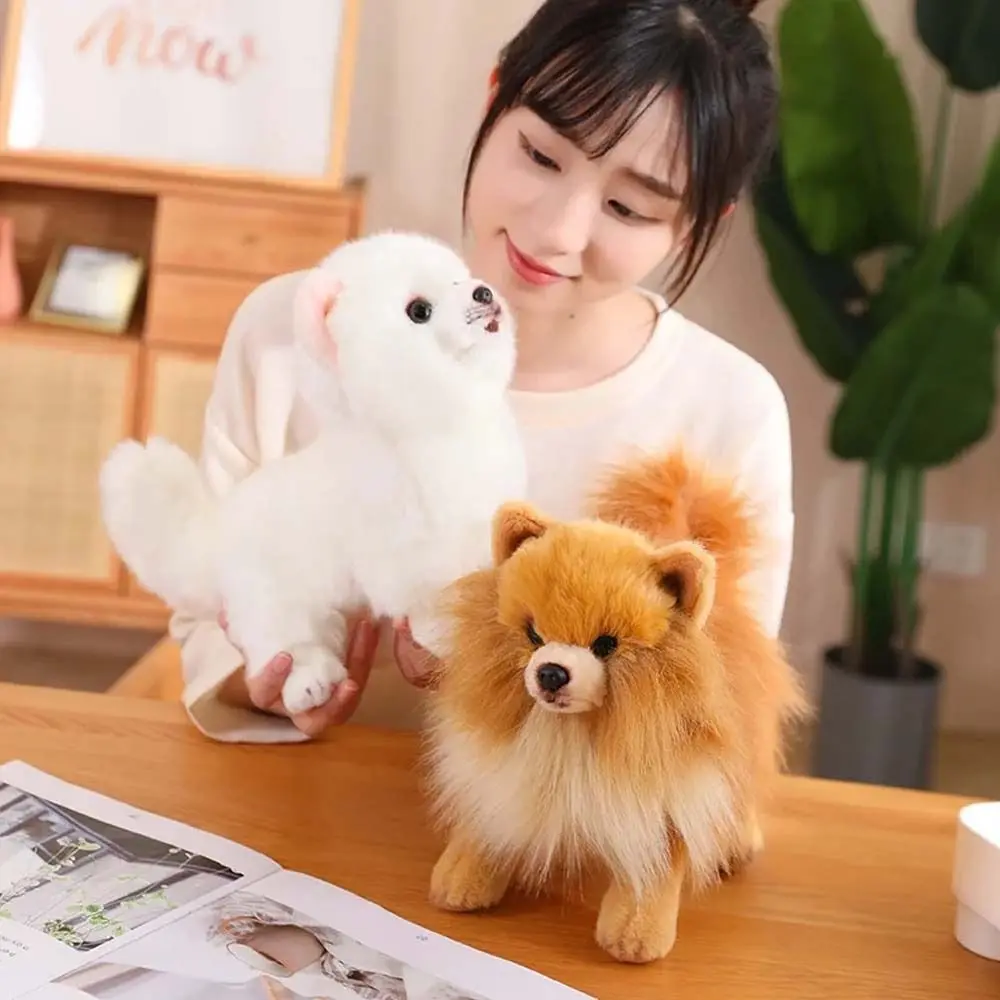 ยืน Pomeranian Plush ของเล่นชีวิตจริงสัตว์เลี้ยงตุ๊กตาจําลอง Pomeranian สุนัขตุ๊กตาสัตว์ตกแต่งบ้านตุ๊กตาลูกสุนัขตุ๊กตา