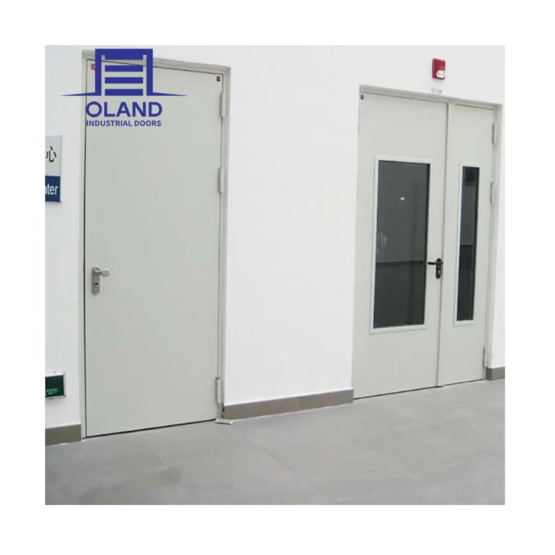 High Quality Fire Steel Door Easy Installation Prefinished Steel Frame FD120 Fire Seal Door for Basement and Electrical Room