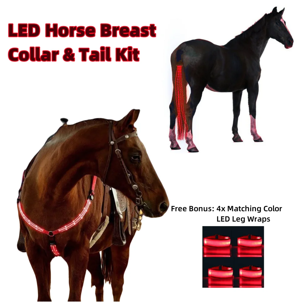 Ensemble de chevaux éclairé par LED: collier de poitrine, enveloppes de queue et de jambe, équipement équestre de décoration rechargeable par USB pour l'équitation en plein air