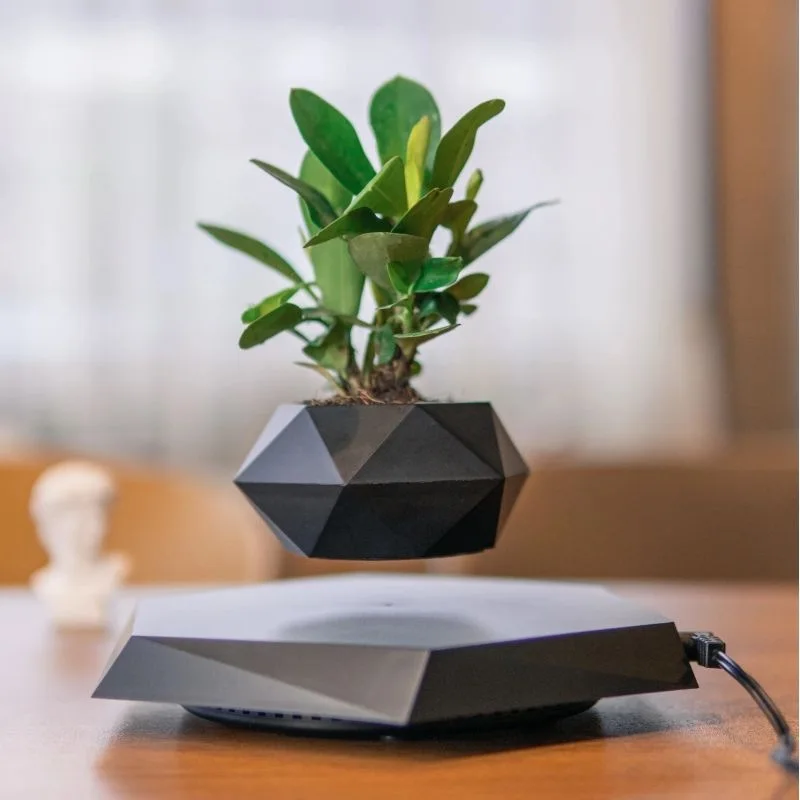 

Magnetic levitation potted plants Creative Bonsai Flower Pots Plants Office Plant Decorations Without Plants Bedroom