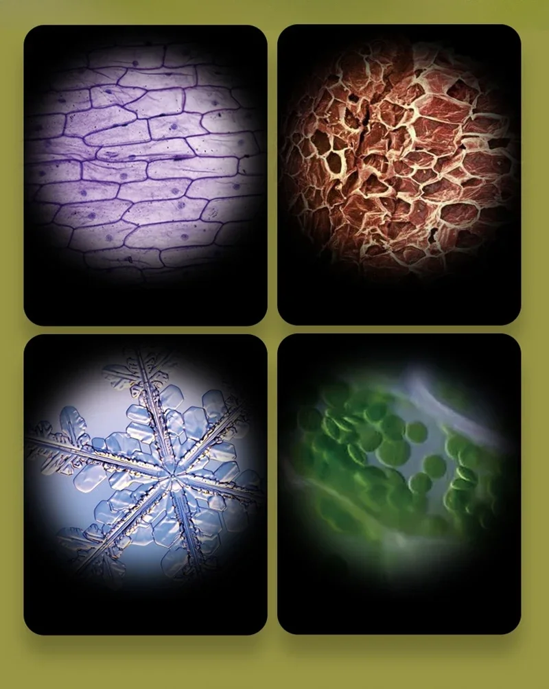 Kit de microscópio portátil laboratório luz led 60x-120x casa escola ciência biológica haste brinquedo ao ar livre crianças presente