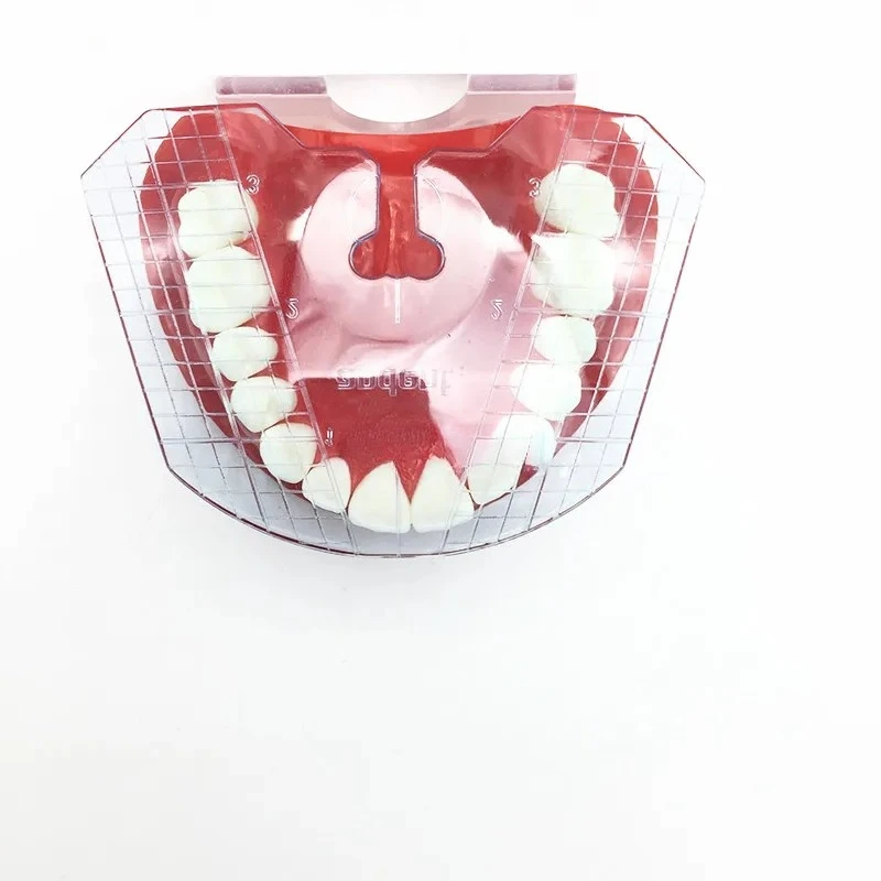 5Pcs Dental Guide Plate Teeth Arrangement on Denture Tools Dental Tools Dental Instrument