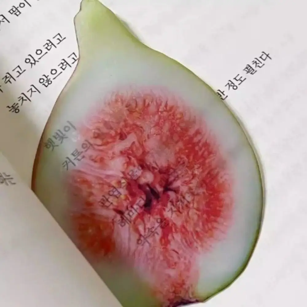 High Quality Simulation Fruit Fruit Apple Slice Bookmark Acrylic Cute Cartoon Note Bookmark Funny Pages Guide Marker