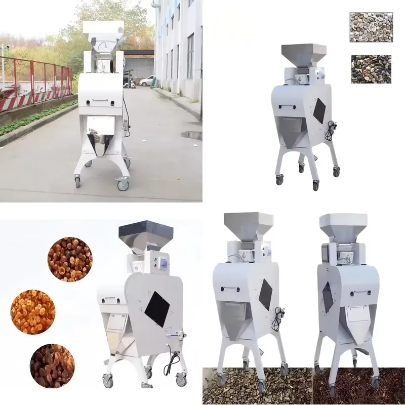 CE Certificate Wholesale Intelligence Mini Sesame Bean Cocoa Areca Nut Hazelnut Color Sorter Machine Corn Pepper Almond Color