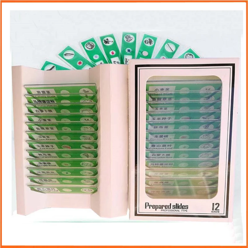 New 12pcs Plant Green Children Toy Kids Educational Plastic Prepared Biological Microscope Specimen Slides for Students