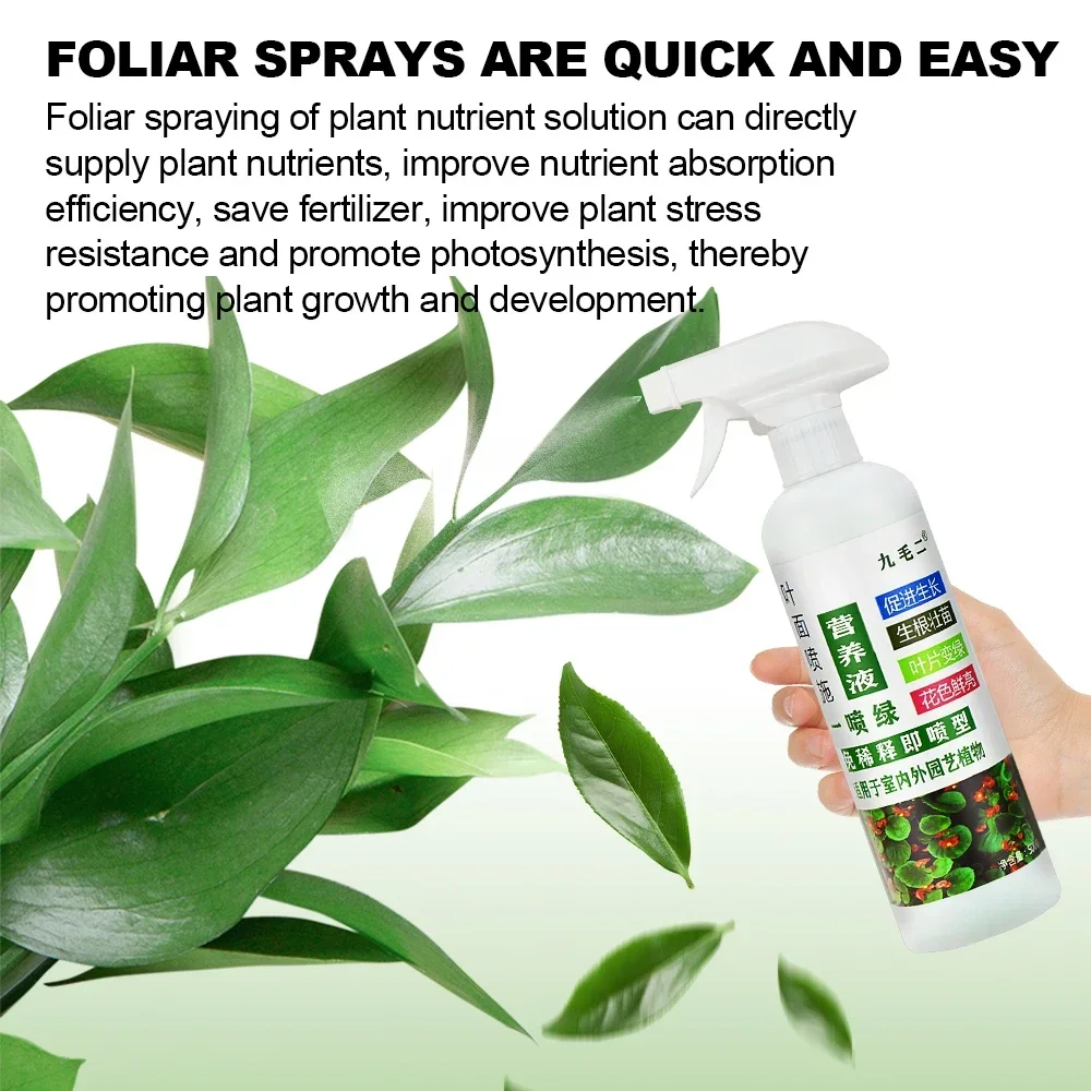 Chlorophyll Nutrient Solution Yellow Leaf Green Flowers Extended Flowering Period Succulent Root Strong Root Foliar Fertilizer