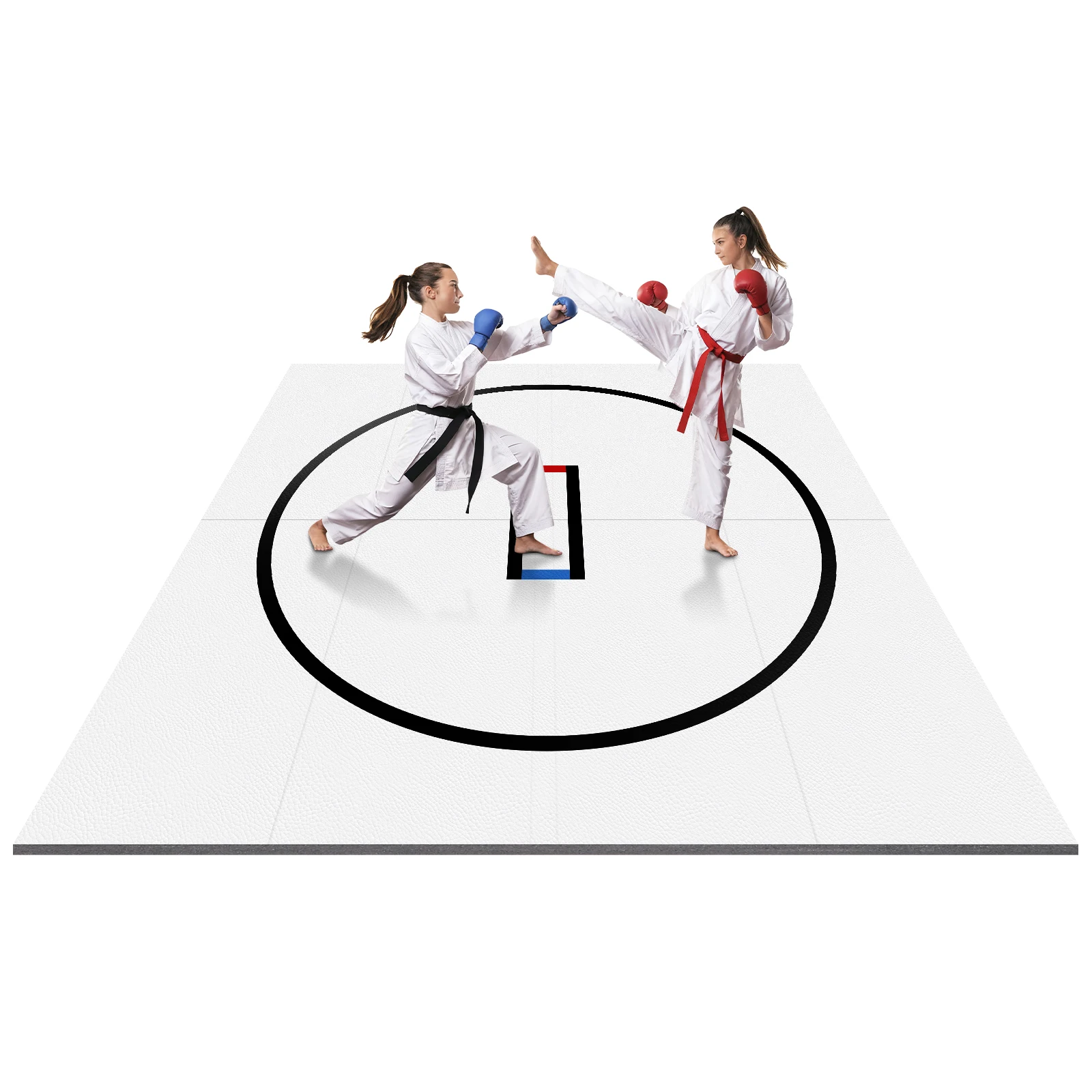 

10x10ft Grappling Mat Portable MMA/BJJ/Judo/Gymnastics Training Mat for Grappling Martial Art Boxing