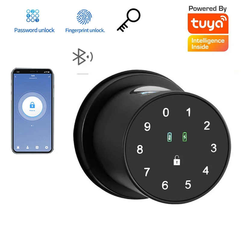 

Smart Electronic Door Lock Biometric Fingerprint Sensor With Keys Tuya Bluetooth Combination Digital LoCK