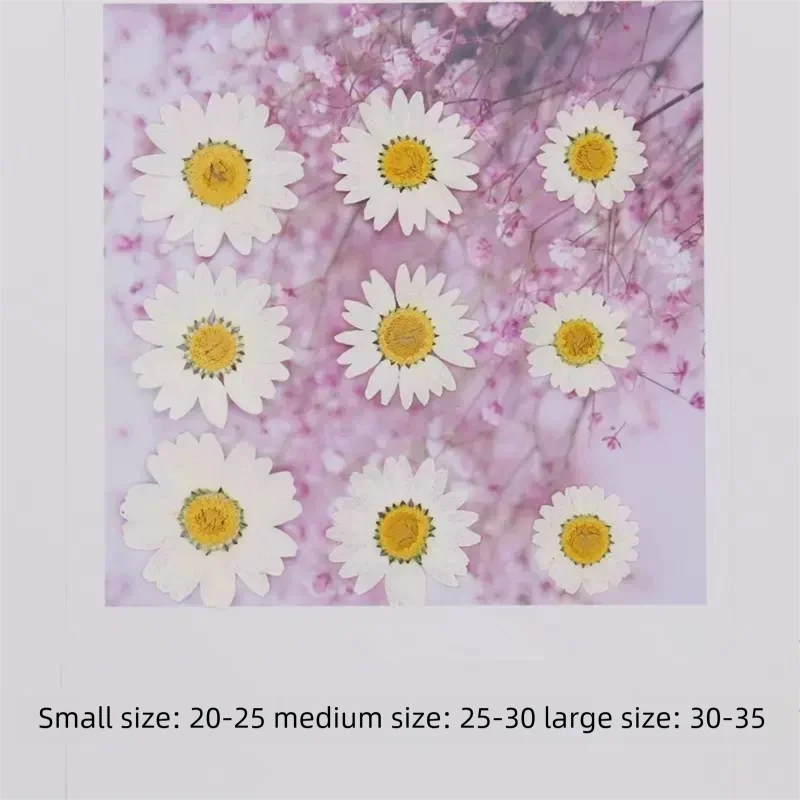 100PCS Natural White Crystal C - огляд і ціна Pressed Flower Frame